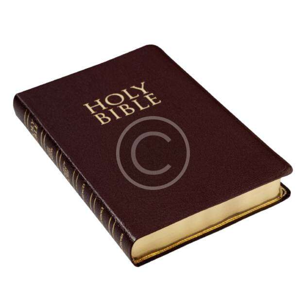 Heilige Bibel